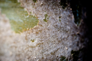 Similar image 2989476