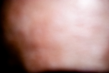 Similar image 2989484