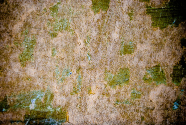 Similar image 2989489