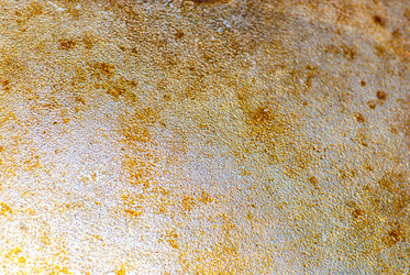 Similar image 2989494