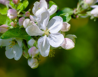 Similar image 2989495