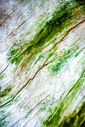 Similar image 2989502