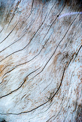 Similar image 2989509