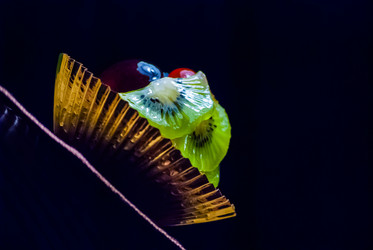 Similar image 2989512