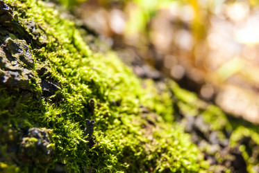 Similar image 2989520