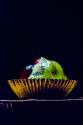 Similar image 2989523