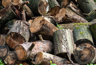 Similar image 2989525