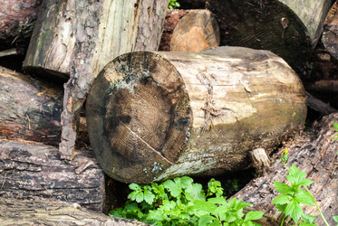 Similar image 2989526