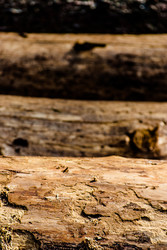 Similar image 2989533