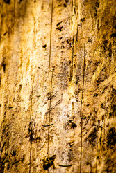 Similar image 2989537