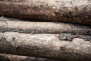 Similar image 2989546