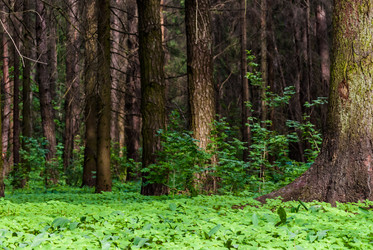 Similar image 2989547