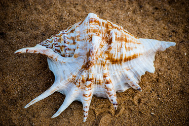 Similar image 2989568