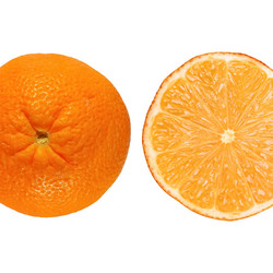 Similar image 2989578