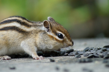 Similar image 2989611