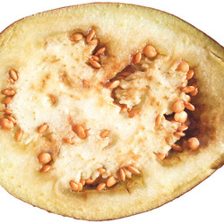 Similar image 2989644