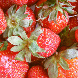 Similar image 2989658