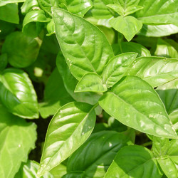 Similar image 2989688