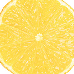 Similar image 2989705