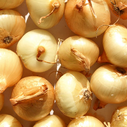 Similar image 2989711