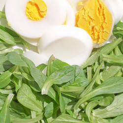 Similar image 2989724