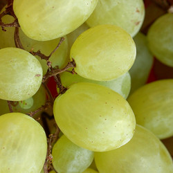 Similar image 2989730