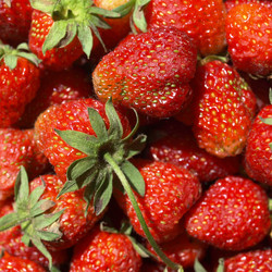 Similar image 2989733