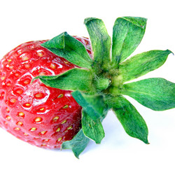 Similar image 2989734