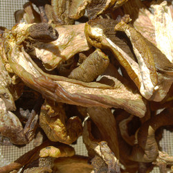 Similar image 2989735