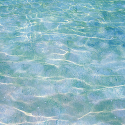 Similar image 2989740