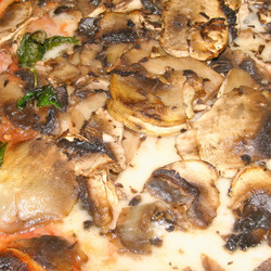 Similar image 2989744