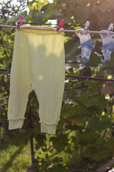 Similar image 2990113