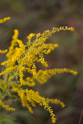 Similar image 2990118