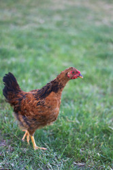 Similar image 2990123