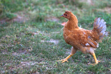 Similar image 2990124