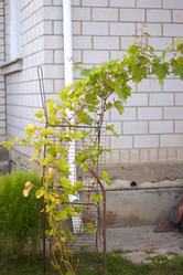 Similar image 2990125