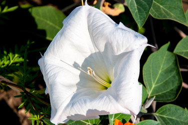 Similar image 2990374