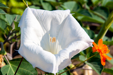 Similar image 2990375