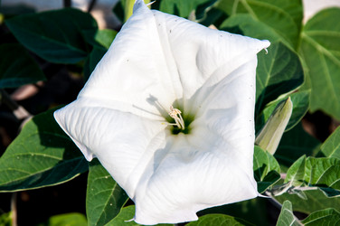 Similar image 2990376