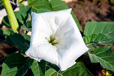 Similar image 2990377