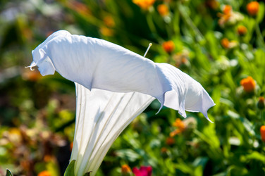 Similar image 2990379