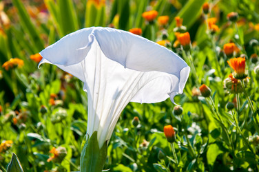 Similar image 2990380