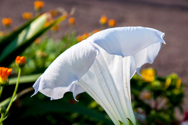 Similar image 2990381