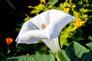 Similar image 2990382