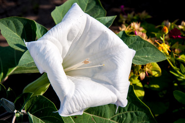 Similar image 2990383