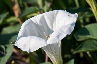 Similar image 2990387