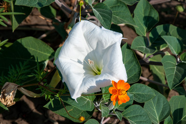 Similar image 2990395