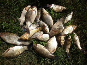 Similar image 2990455