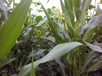 Similar image 2990457