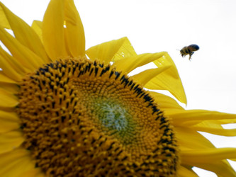 Similar image 2990459